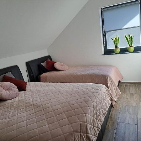 Apartmaji Tisa In Zana Rovte Exteriör bild