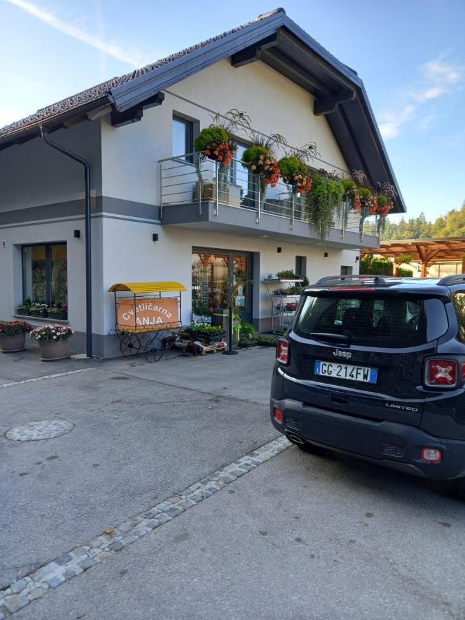 Apartmaji Tisa In Zana Rovte Exteriör bild