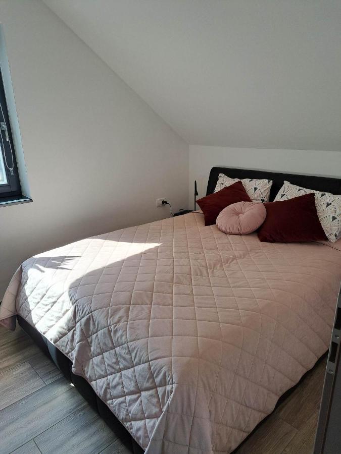 Apartmaji Tisa In Zana Rovte Exteriör bild